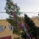 Stavanie "Mája" 2019